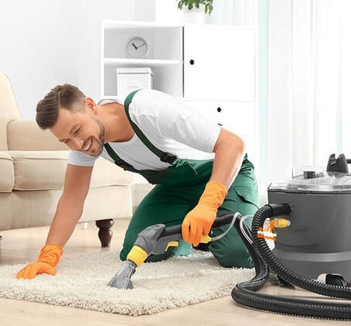 Professional cleaning team
